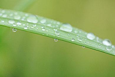 《战锤40K：星际战士2》支持跨平台 科隆展新演示赏